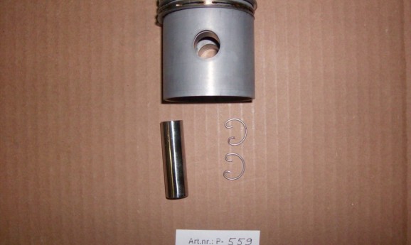 Mahle piston with ring